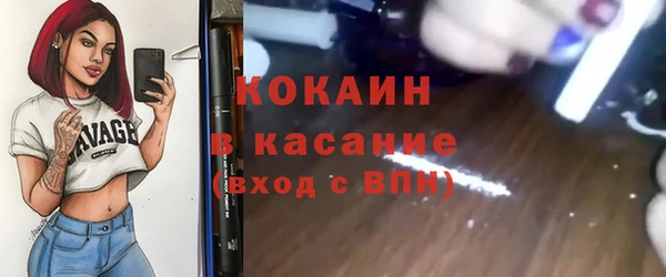 крисы Баксан