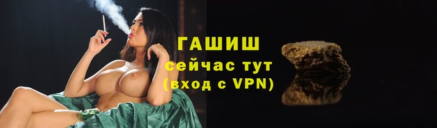 крисы Баксан