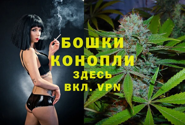 крисы Баксан