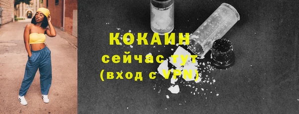 крисы Баксан
